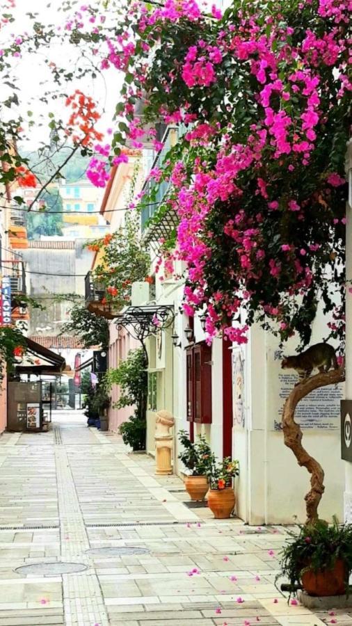 나플리오 Μπαλκόνι 아파트 외부 사진